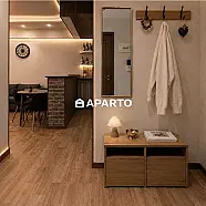 250 ლარი ღამე, ბინა დღიურად