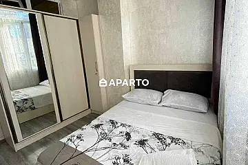 50 ლარი ღამე, ბინა დღიურად