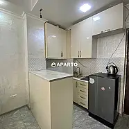 50 ლარი ღამე, ბინა დღიურად