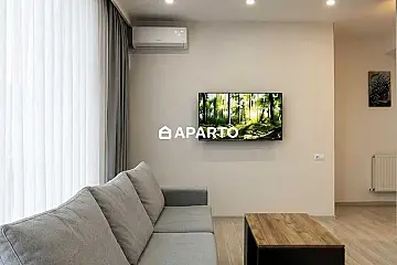 200 ლარი ღამე, ბინა დღიურად