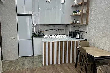 80 ლარი ღამე, ბინა დღიურად