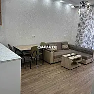 80 ლარი ღამე, ბინა დღიურად