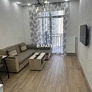 80 ლარი ღამე, ბინა დღიურად