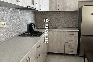 50 ლარი ღამე, ბინა დღიურად