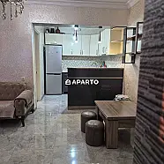 60 ლარი ღამე, ბინა დღიურად