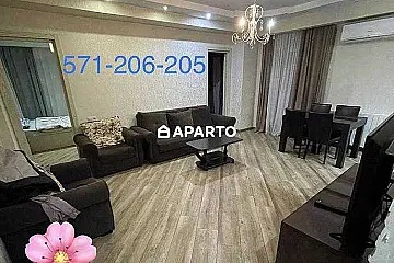 160 ლარი ღამე, ბინა დღიურად