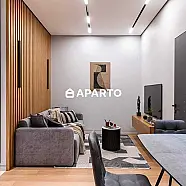 50 ლარი ღამე, ბინა დღიურად