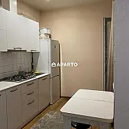 50 ლარი ღამე, ბინა დღიურად
