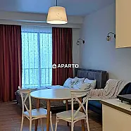 60 ლარი ღამე, ბინა დღიურად