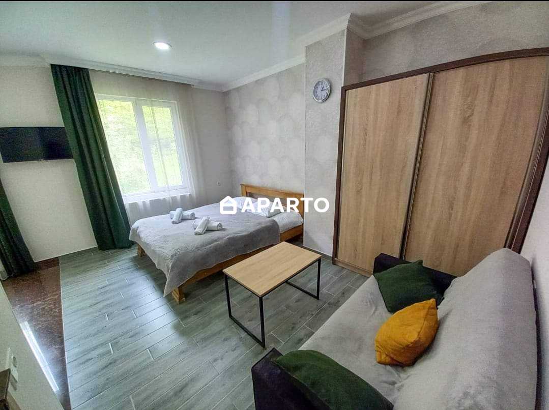 binebi dgiurad