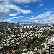 110 ლარი ღამე, ბინა დღიურად