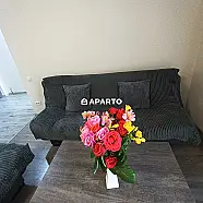 30 ლარი ღამე, ბინა დღიურად
