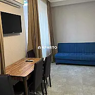 50 ლარი ღამე, ბინა დღიურად