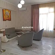 50 ლარი ღამე, ბინა დღიურად