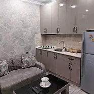 100 ლარი ღამე, ბინა დღიურად