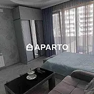 100 ლარი ღამე, ბინა დღიურად