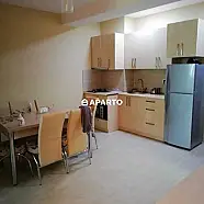 50 ლარი ღამე, ბინა დღიურად