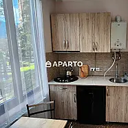30 ლარი ღამე, ბინა დღიურად