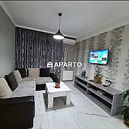 60 ლარი ღამე, ბინა დღიურად