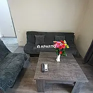 30 ლარი ღამე, ბინა დღიურად