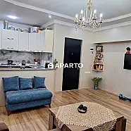 80 ლარი ღამე, ბინა დღიურად