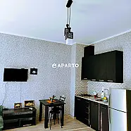 70 ლარი ღამე, ბინა დღიურად