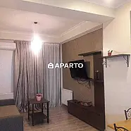 70 ლარი ღამე, ბინა დღიურად