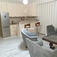 50 ლარი ღამე, ბინა დღიურად