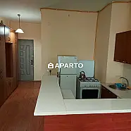 60 ლარი ღამე, ბინა დღიურად