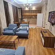 80 ლარი ღამე, ბინა დღიურად