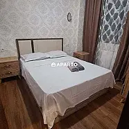 80 ლარი ღამე, ბინა დღიურად
