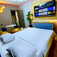 100 ლარი ღამე, ბინა დღიურად