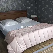 50 ლარი ღამე, ბინა დღიურად