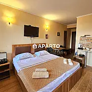 100 ლარი ღამე, ბინა დღიურად