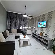 60 ლარი ღამე, ბინა დღიურად