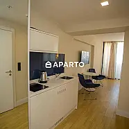 50 ლარი ღამე, ბინა დღიურად