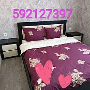 30 ლარი ღამე, ბინა დღიურად