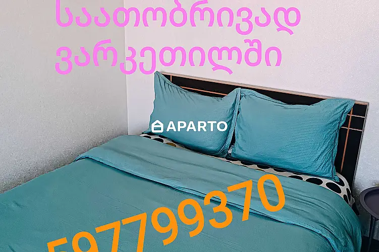 30 ლარი ღამე, ბინა დღიურად