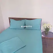 30 ლარი ღამე, ბინა დღიურად