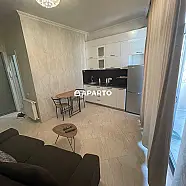 70 ლარი ღამე, ბინა დღიურად