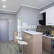 50 ლარი ღამე, ბინა დღიურად