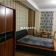 80 ლარი ღამე, ბინა დღიურად