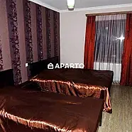 450 ლარი ღამე, ბინა დღიურად