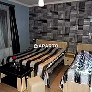 450 ლარი ღამე, ბინა დღიურად