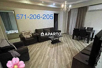 70 ლარი ღამე, ბინა დღიურად