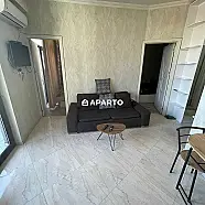 70 ლარი ღამე, ბინა დღიურად