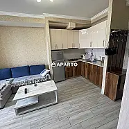 50 ლარი ღამე, ბინა დღიურად