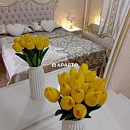 1 ლარი ღამე, ბინა დღიურად