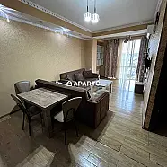 50 ლარი ღამე, ბინა დღიურად