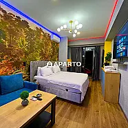 50 ლარი ღამე, ბინა დღიურად